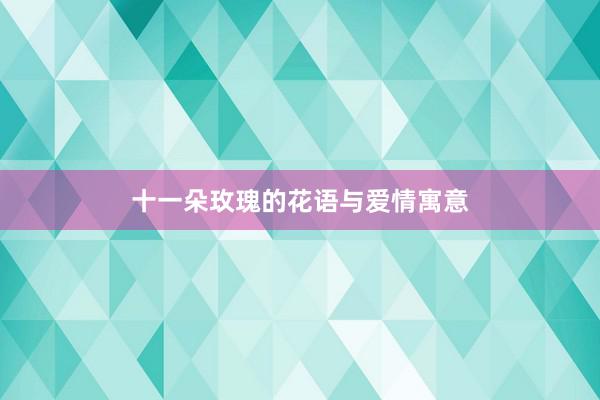 十一朵玫瑰的花语与爱情寓意