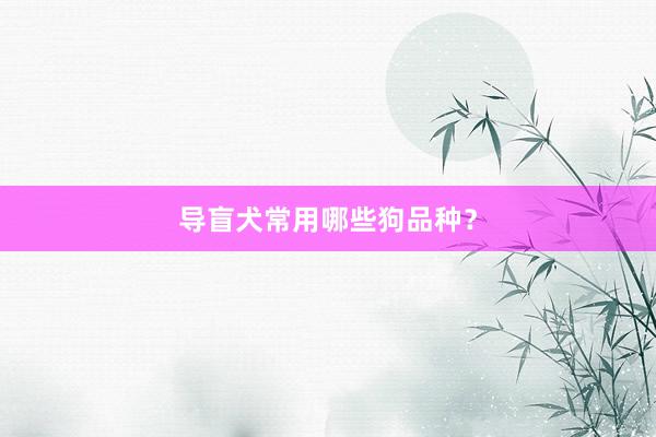 导盲犬常用哪些狗品种？